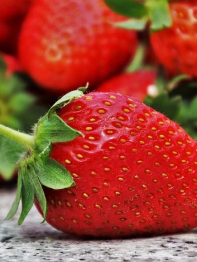 स्ट्रॉबेरी खाने से मिलते है अनेको स्वास्थ लाभ